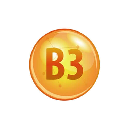 Vitamin B3 Ingredient