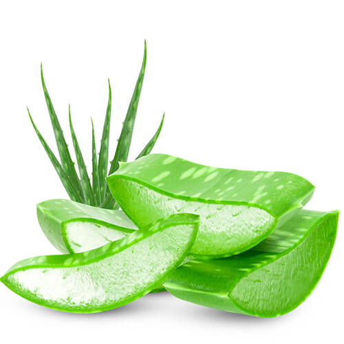 Aloevera