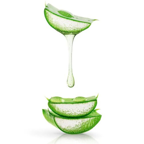 Aloe Vera Extract Ingredient