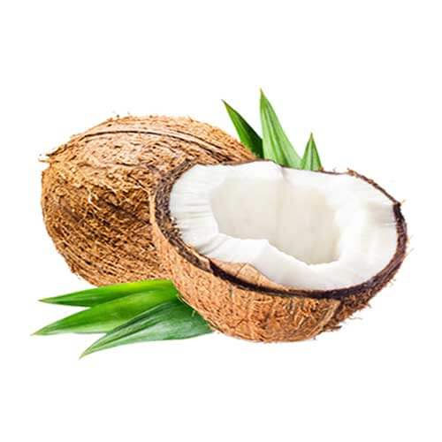 Coconut Oil Ingredient for Charcoal Teeth Whitening Toothpaste