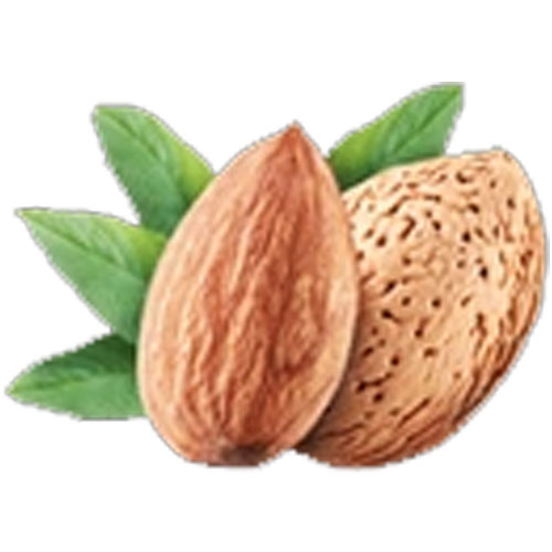 Almond Ingredient