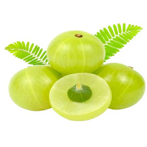 Amla Ingredient