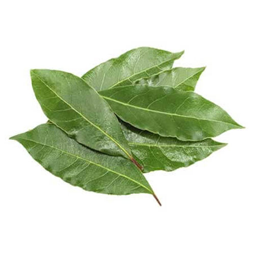 bay leaf extract Ingredient