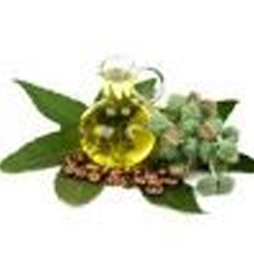 Castor Oil Ingredient