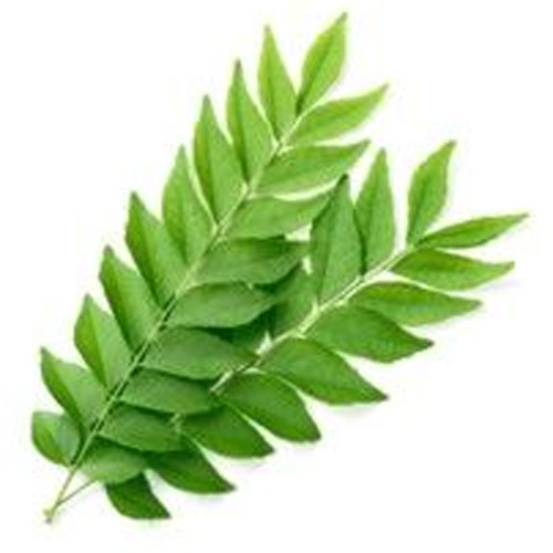 Curry Leaves Ingredient