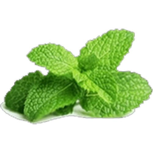 Menthol Ingredient