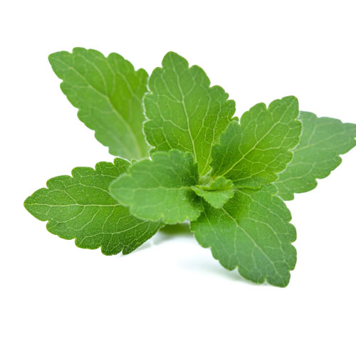 stevia Ingredient