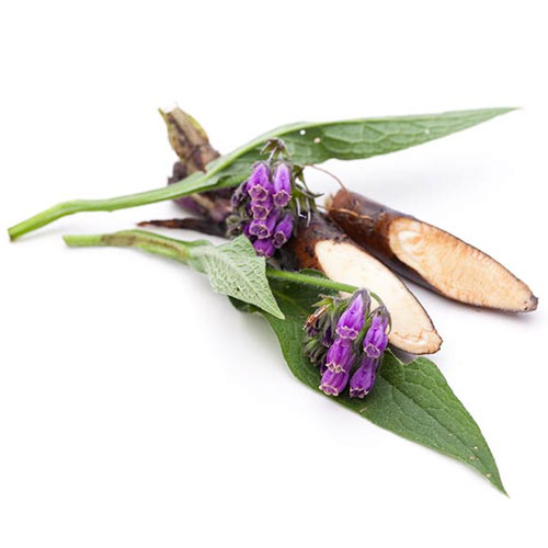 Allantoin Ingredients