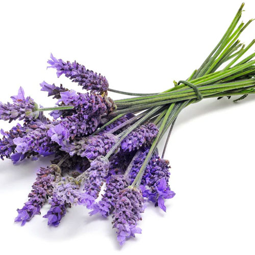 lavender Ingredients